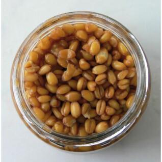 Gotowane nasiona pszenicy Rameau 212 ml