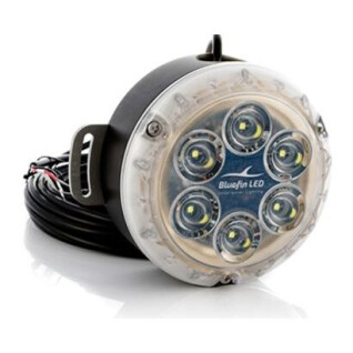 oświetlenie Bluefin LED Piranha DL12 Dock Light 24V